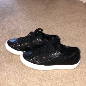 Steve Madden Sneakers